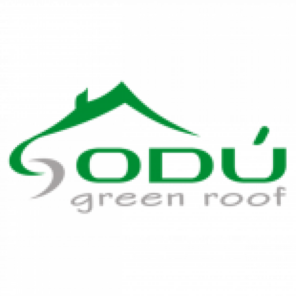 Avantajele acoperisului verde privite din 3 aspecte