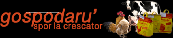 Cum hranim porcii corespunzator?