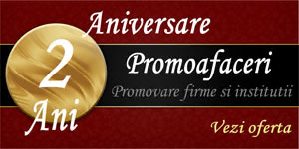 Doi ani de Promoafaceri.com: promovare online pentru sute de firme, mii de informatii si parteneri de suflet