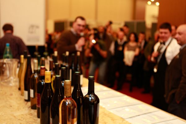 Regal de vinuri de calitate la prima editie a Festivalului PROVINO la Cluj Napoca