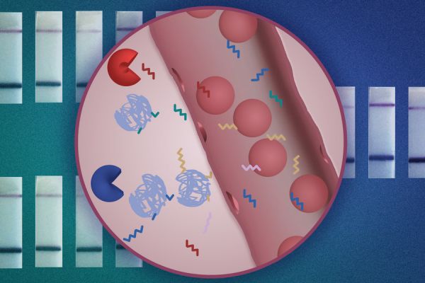 Test de urină revoluționar pentru cancer! Descoperă boala în 5 minute, fără biopsie!